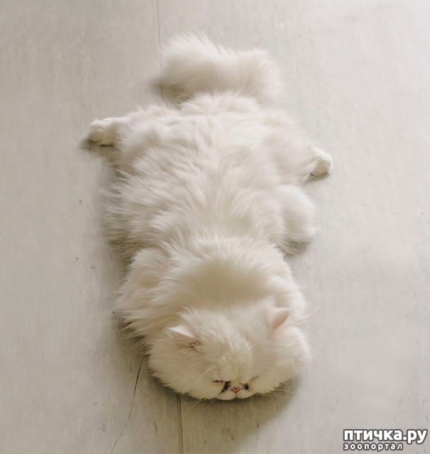 ���� 3: ��� �������� ��������.