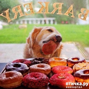 ����: ����� ������, �� ����� �������...