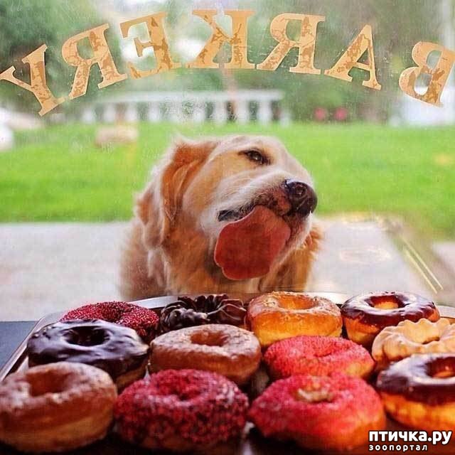 ���� 1: ����� ������, �� ����� �������...