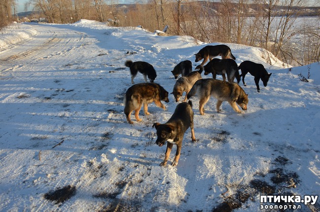 ���� 2: ��������� ������