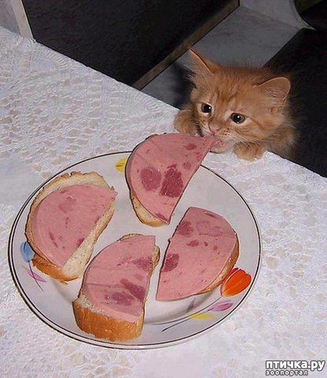 ���� 4: ����� ������, �� ����� �������...