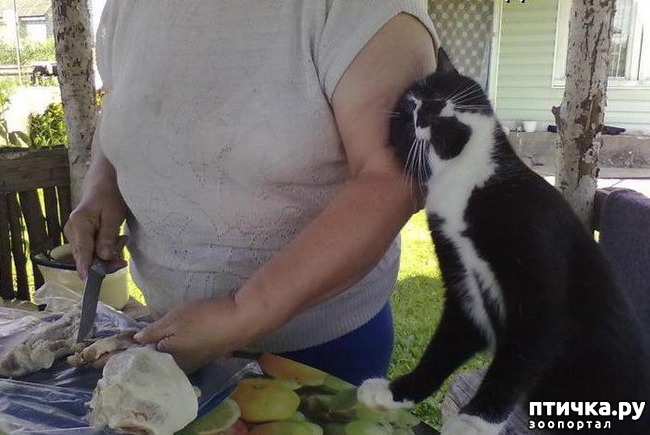 ���� 5: ����� ������, �� ����� �������...