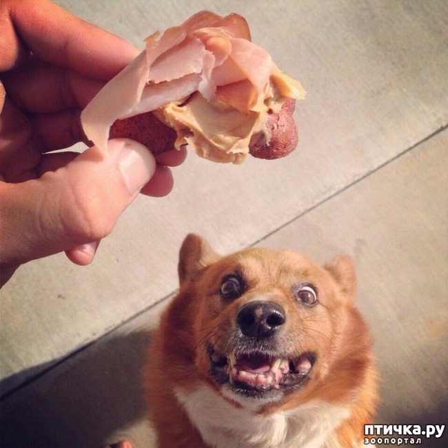 ���� 6: ����� ������, �� ����� �������...