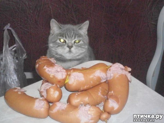 ���� 7: ����� ������, �� ����� �������...