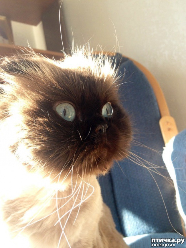 ���� 7: ��� �������� ��������.