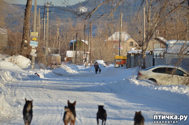 ���� 3: ��������� ������