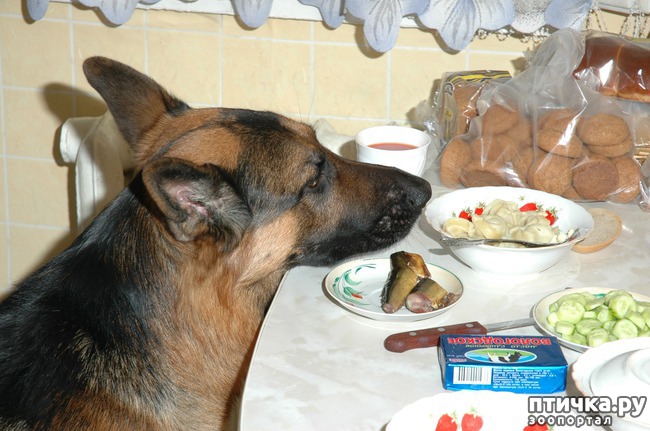 ���� 9: ����� ������, �� ����� �������...