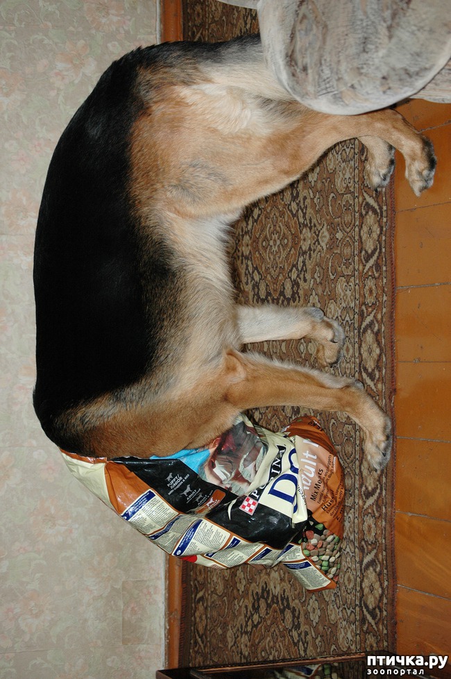 ���� 10: ����� ������, �� ����� �������...