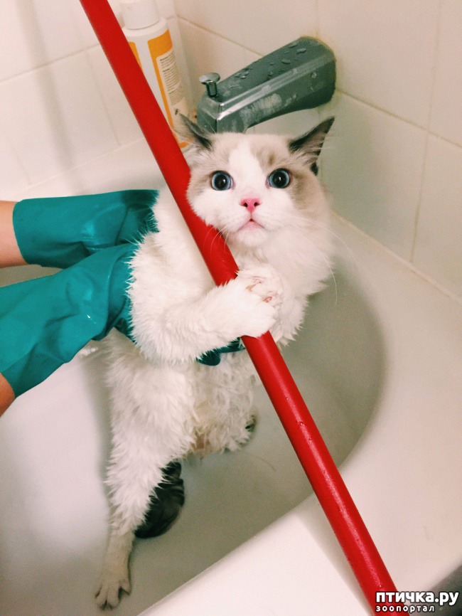 ���� 10: ��� �������� ��������.