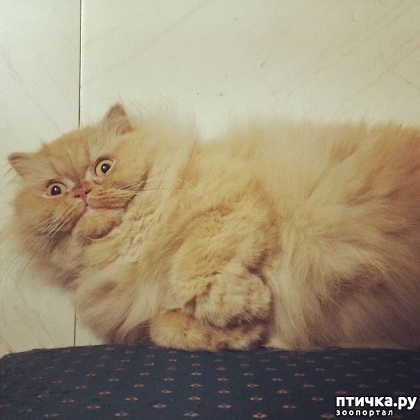 ���� 14: ��� �������� ��������.