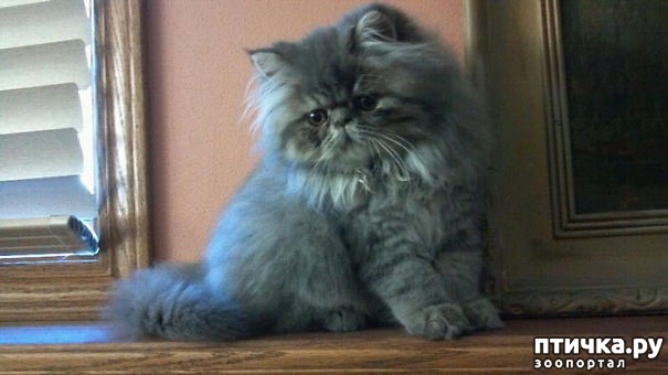 ���� 17: ��� �������� ��������.