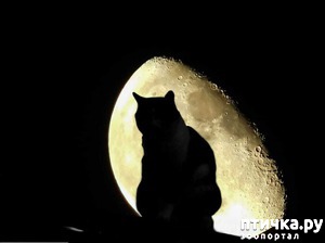 ����: ������ �������� � ��������