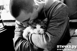 ����: "8 �����" (�������� �� �������� ��������)