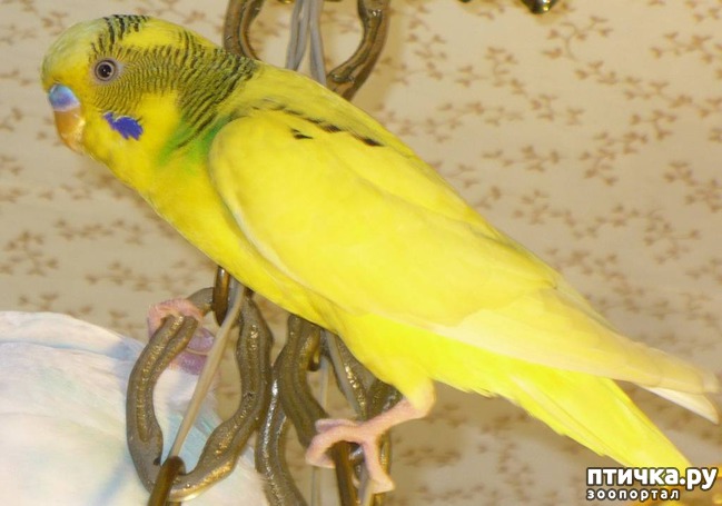 ���� 1: ����.