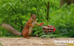 ����: ���������� �����...