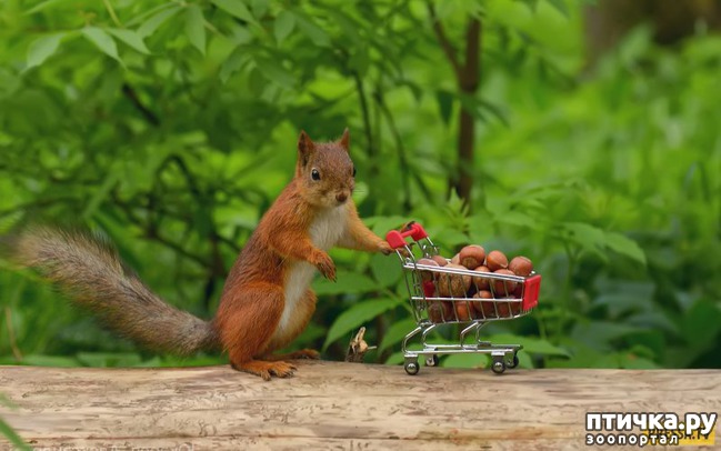 ���� 1: ���������� �����...