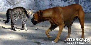 ����: ����� � ������ - ������!