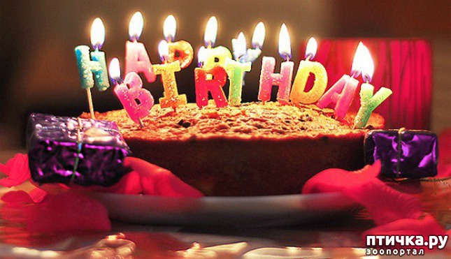 ���� 3: ���� ��������!!!