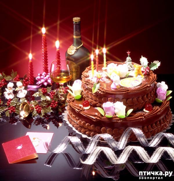 ���� 5: ���� ��������!!!