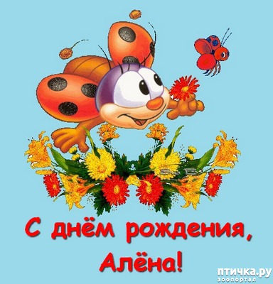 ���� 9: ���� ��������!!!