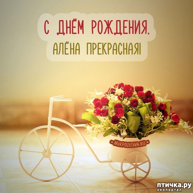 ���� 10: ���� ��������!!!