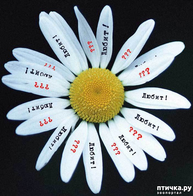 ���� 12: ���� ��������!!!