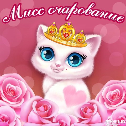 ���� 7: ���� ��������!!!