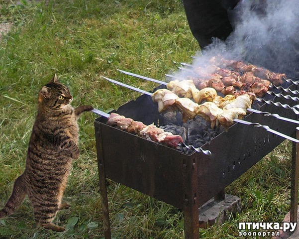 ���� 2: �������� ������. � ��� �� ��� ����� ��������? ��������� ����!)))