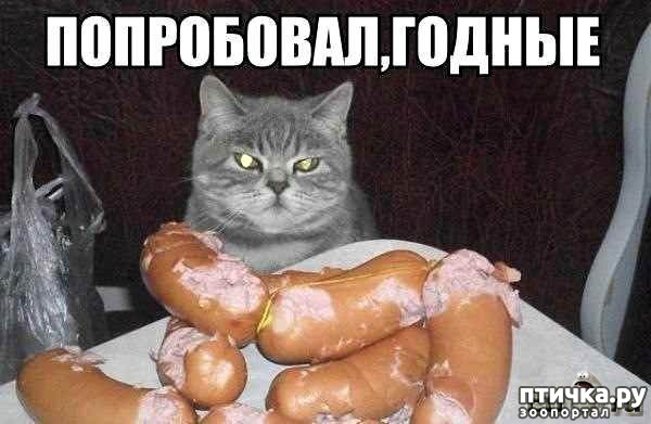 ���� 4: �������� ������. � ��� �� ��� ����� ��������? ��������� ����!)))