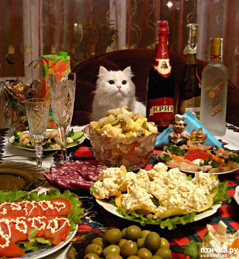 ���� 5: �������� ������. � ��� �� ��� ����� ��������? ��������� ����!)))