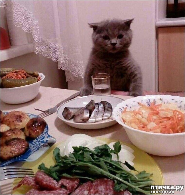 ���� 7: �������� ������. � ��� �� ��� ����� ��������? ��������� ����!)))