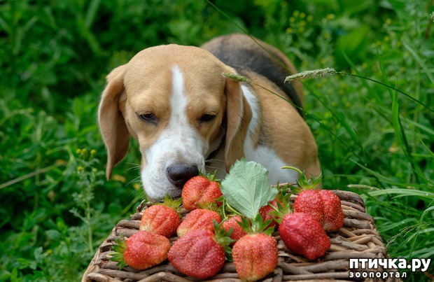 ���� 10: �������� ������. � ��� �� ��� ����� ��������? ��������� ����!)))