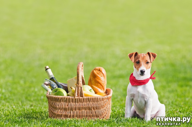 ���� 11: �������� ������. � ��� �� ��� ����� ��������? ��������� ����!)))