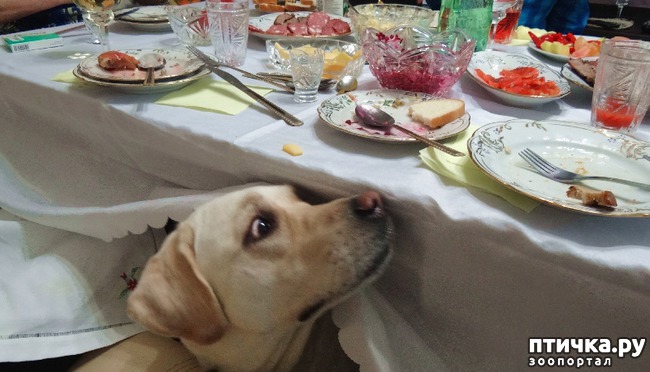 ���� 12: �������� ������. � ��� �� ��� ����� ��������? ��������� ����!)))