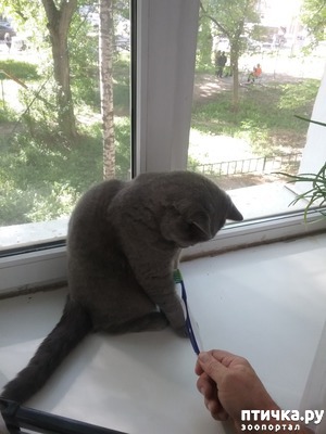 ����: ������ ����� ������. ����� ����������