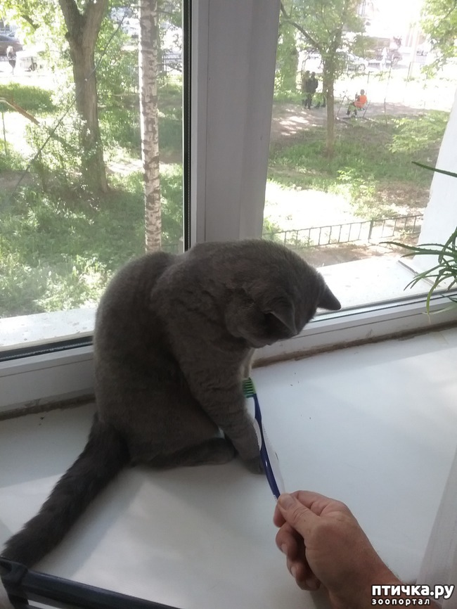 ���� 1: ������ ����� ������. ����� ����������