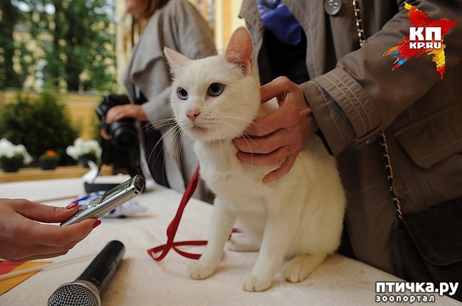 ���� 1: ���� -����������