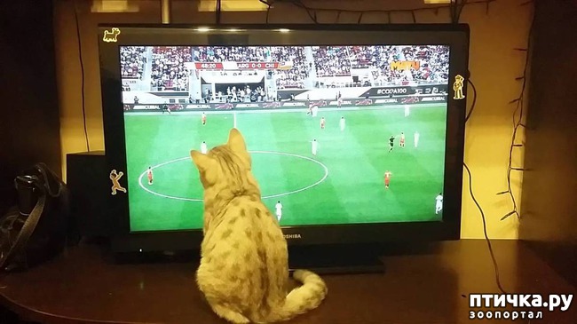 ���� 4: ���� -����������