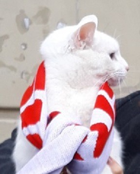 ���� 5: ���� -����������