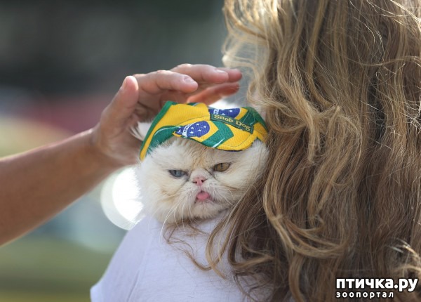 ���� 7: ���� -����������