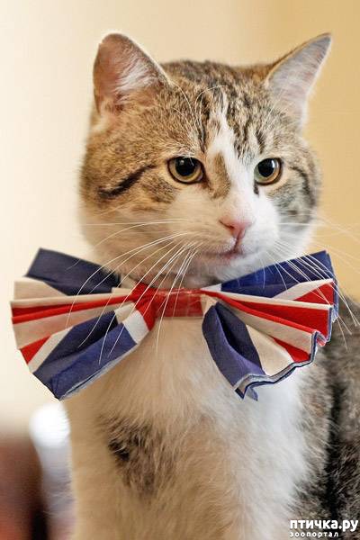 ���� 9: ���� -����������