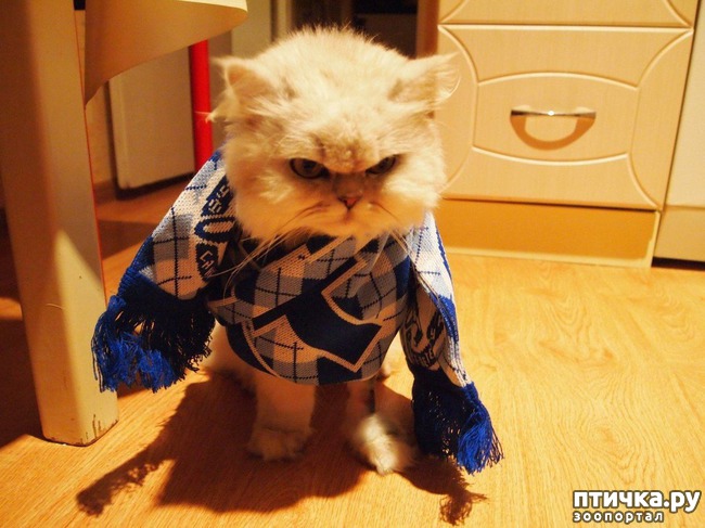 ���� 10: ���� -����������