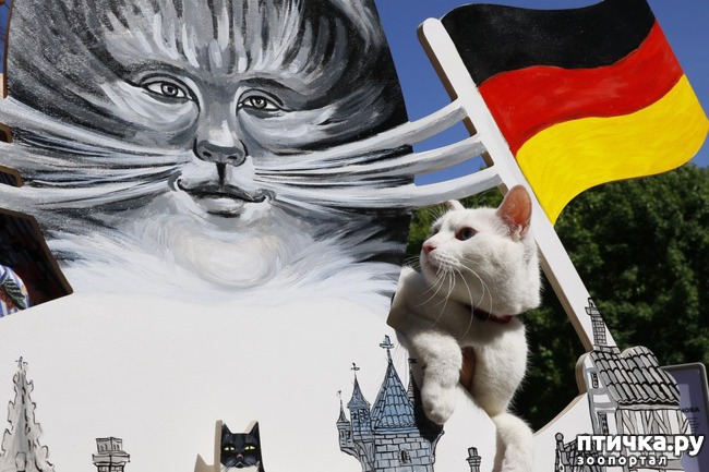 ���� 12: ���� -����������