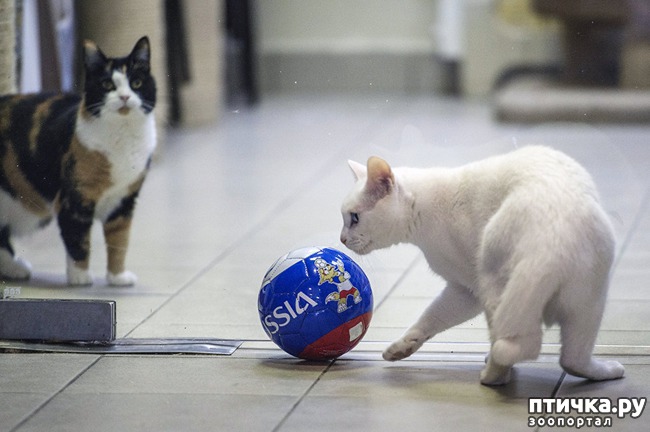 ���� 14: ���� -����������