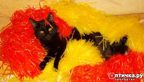 ���� 16: ���� -����������