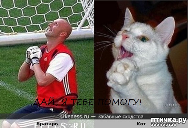 ���� 17: ���� -����������