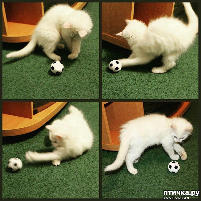 ���� 19: ���� -����������