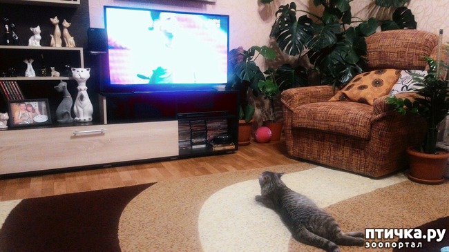 ���� 20: ���� -����������