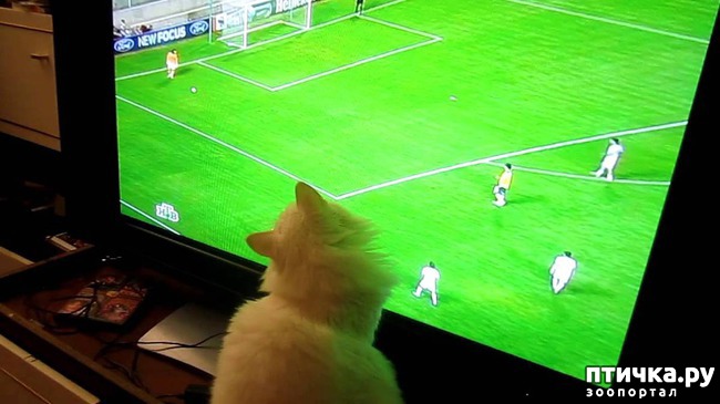 ���� 21: ���� -����������