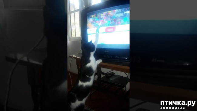 ���� 22: ���� -����������